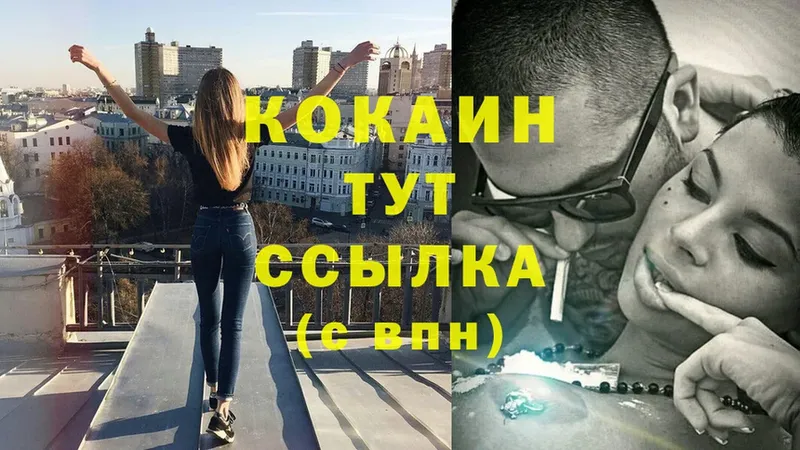 где купить   Городовиковск  COCAIN Columbia 